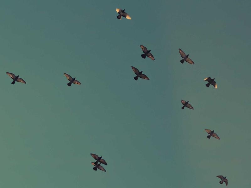 Nadia Villanueva Buenos Aires